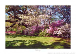 Spring Ken Buckner