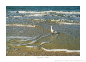 Egret in Surf Ken Buckner