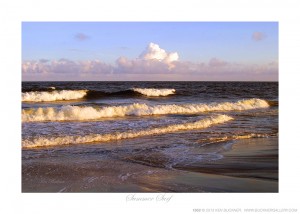Summer Surf Ken Buckner