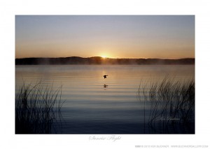 Sunrise Flight Ken Buckner