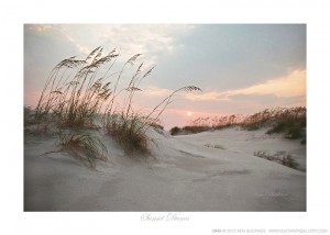 Sunset Dunes Ken Buckner
