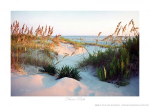 Dunes Path Ken Buckner