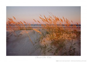 Sunset Sea Oats Ken Buckner