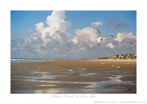 Birds, Clouds, & Low Tide Ken Buckner