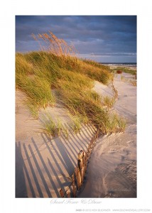 Sand Fence & Dunes Ken Buckner