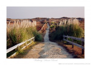 Walkway Sunset Beach Ken Buckner
