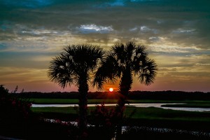 Palm Sunset Ocean Isle Beach Photo by Dwayne Schmidt
