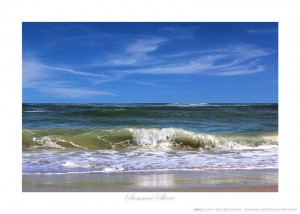 Summer Shore - Photo by Ken Buckner