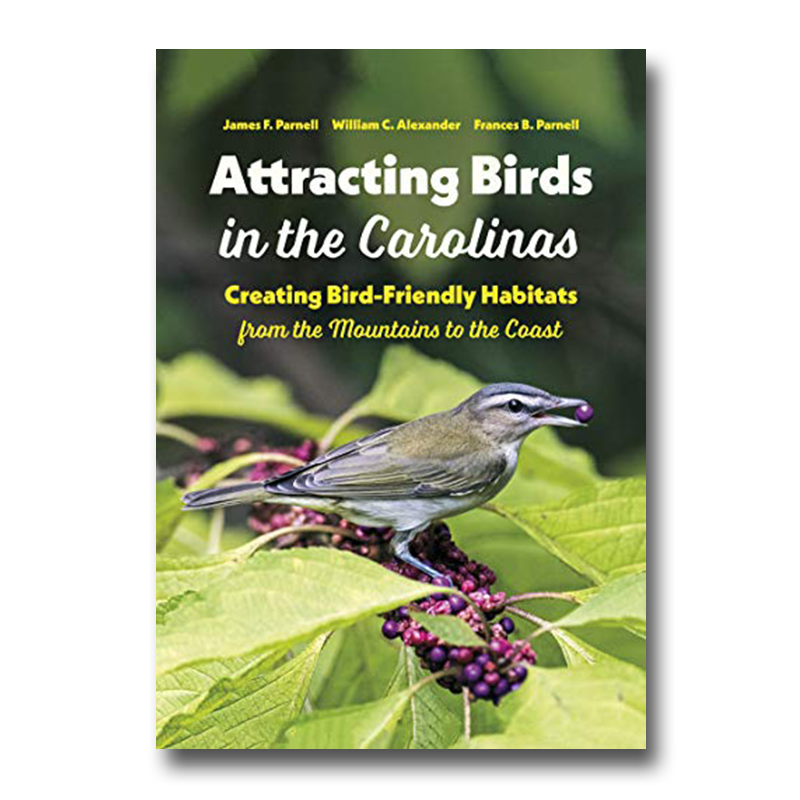 Attracting Birds in the Carolinas: Creating Bird-Friendly Habitats from the Mountains to the Coast
