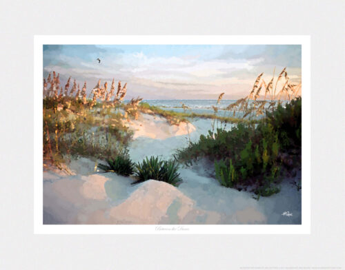 BETWEEN THE DUNE HORZ
