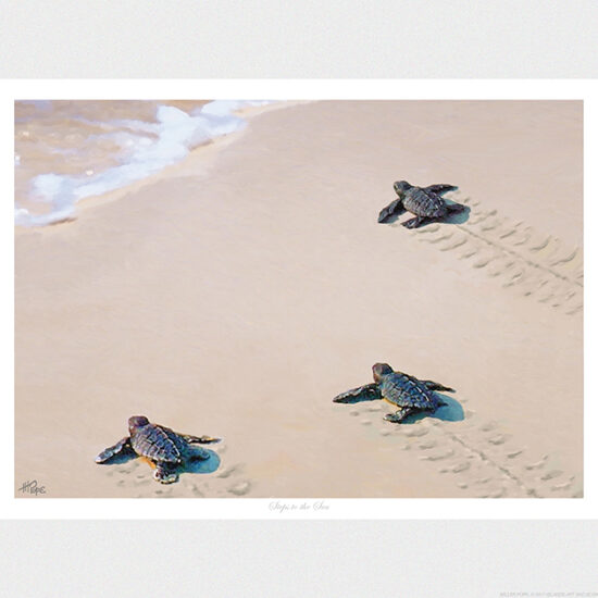 Steps To The Sea by Miller Pope Horizontal