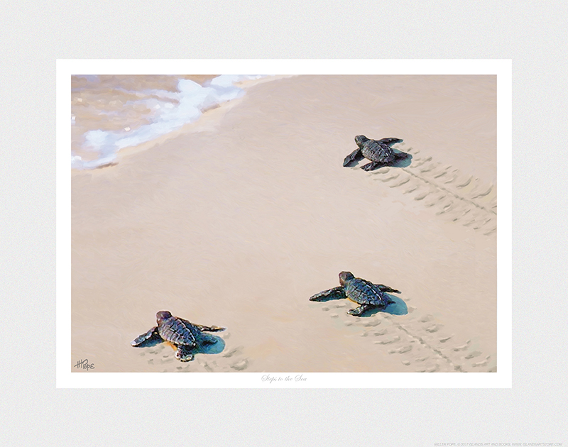 Steps To The Sea by Miller Pope Horizontal