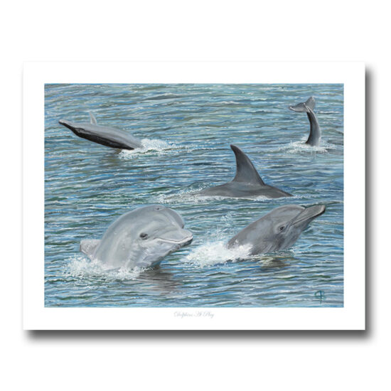 Dolphins At Play By Christine Brubaker
