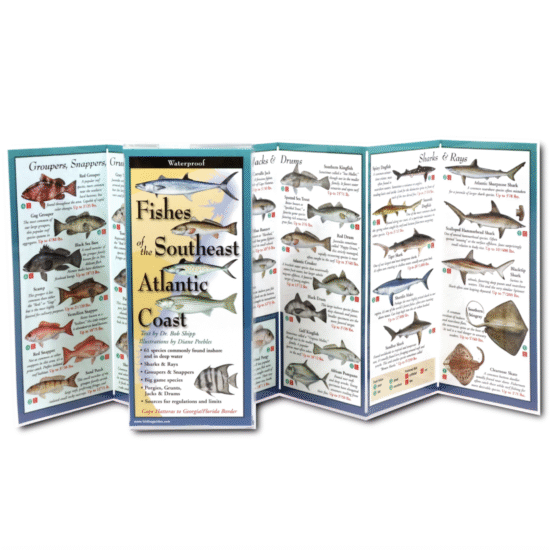 Fishes of the Southeast Atlantic Coast