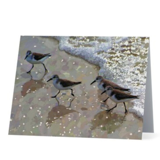 Sandpipers Note Card by Miller Pope