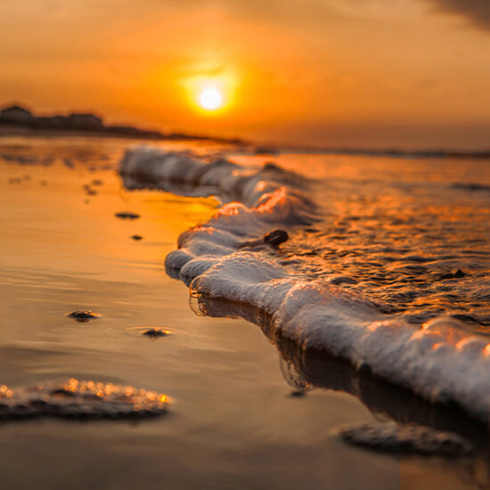 Golden Wave by Dwayne Schmidt