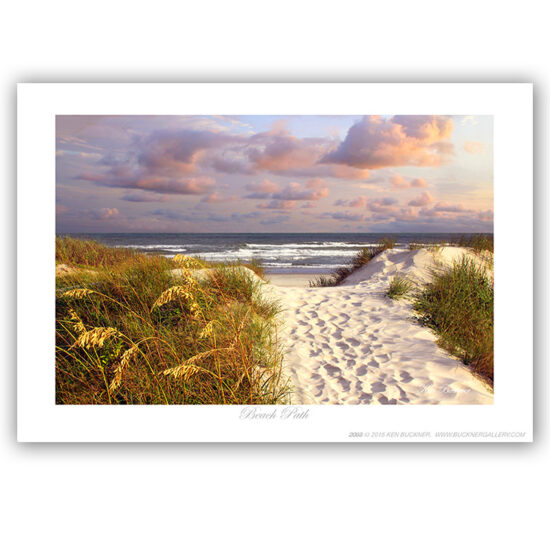 Ken Buckner Photography Gallery