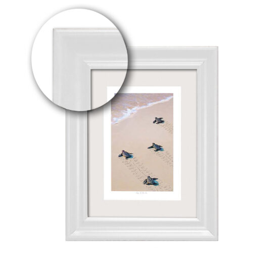 Two-Inch White Frame