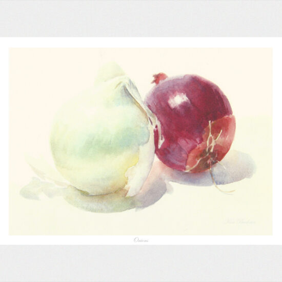 Onions - Watercolor By Ken Buckner