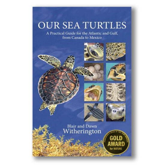 Our Sea Turtles: A Practical Guide for the Atlantic