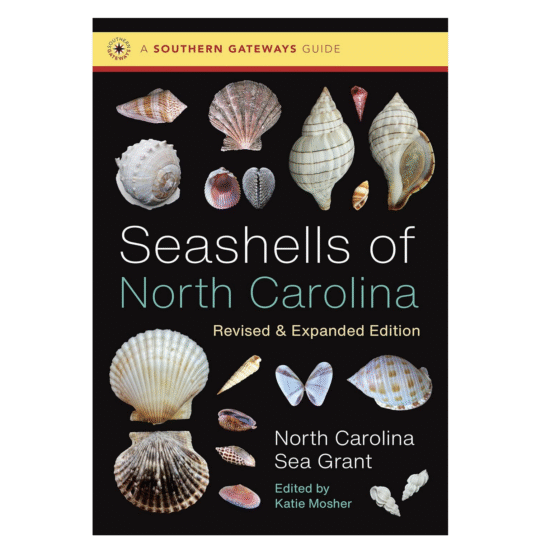 Seashells of North Carolina, Revised & Expanded Edition
