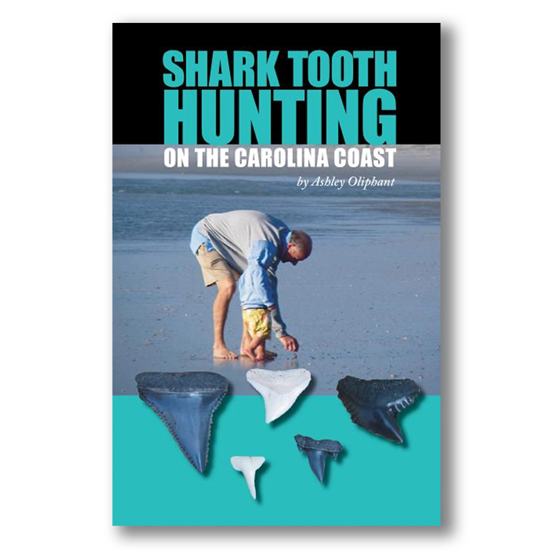 Shark Tooth Hunting on the Carolina Coast