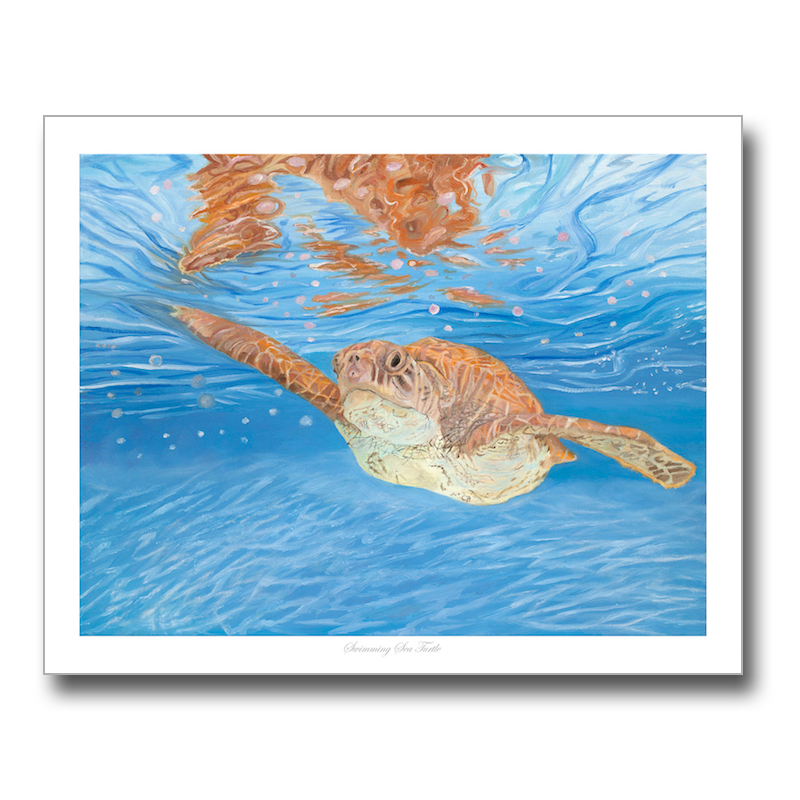 Swimming Sea Turtle By Christine Brubaker