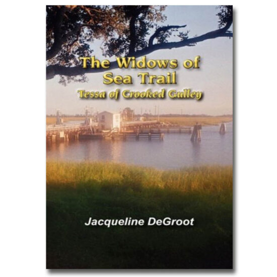 The Widows of Sea Trail- Tessa of Crooked Gulley (Book 2) by Jacqueline DeGroot