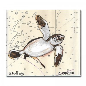 Zak Duff Baby Sea Turtle