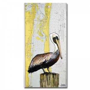 Zak Duff Brown Pelican