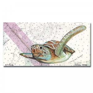 Zak Duff Green Sea Turtle
