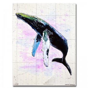 Zak Duff Humpback Whale