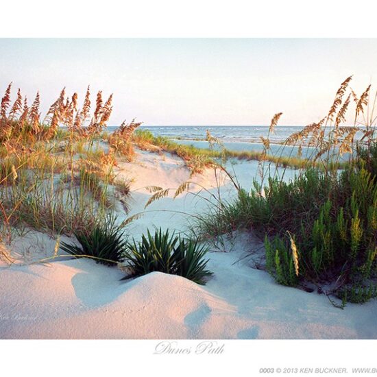 Dunes Path- Photo by Ken Buckner (0003)