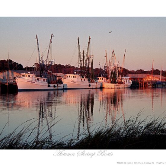 Autumn Shrimp Boats - Photo by Ken Buckner (1009)