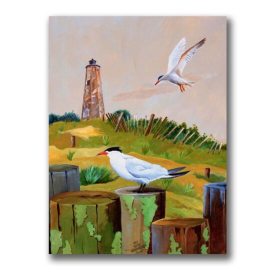 Bald Head Lighthouse by Ivey Hayes (1177)