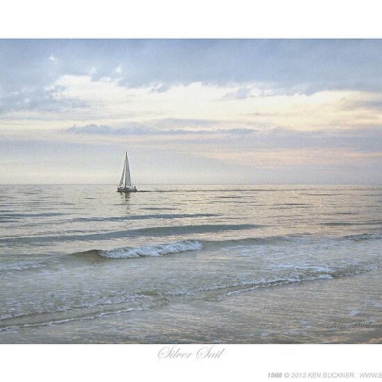 Silver Sail- Photo by Ken Buckner (1868)