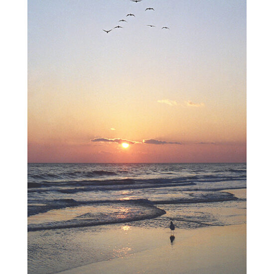 Sunset Formation- Photo by Ken Buckner (0347)