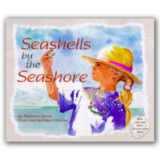 Seashells by the Seashore