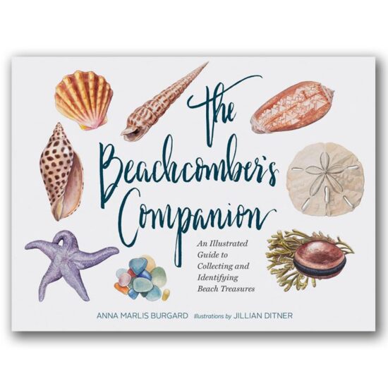 The Beachcomber's Companion: An Illustrated Guide to Collecting and Identifying Beach Treasures