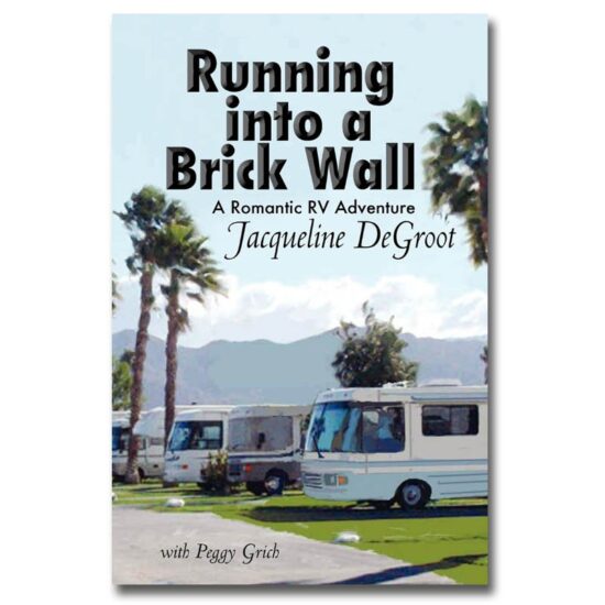 Running Into A Brick Wall by Jacqueline DeGroot