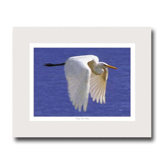 Wings Over Water by Miller Pope