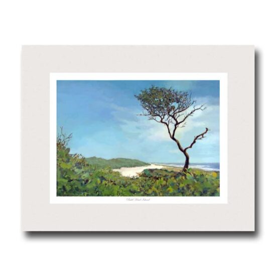Bald Head Island by Miller Pope