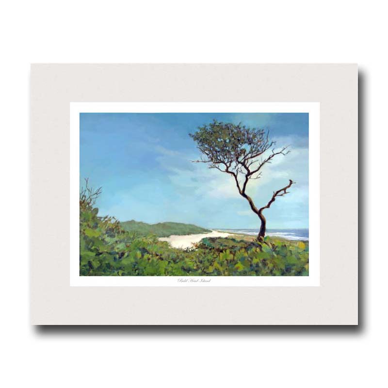 Bald Head Island by Miller Pope