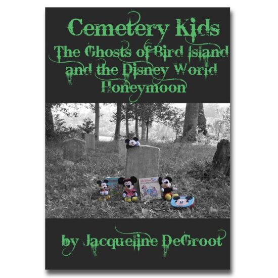 Cemetery Kids: The Ghosts of Bird Island and the Disney World Honeymoon by Jacqueline DeGroot