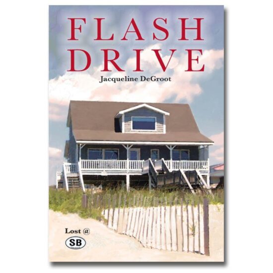 Flash Drive by Jacqueline DeGroot