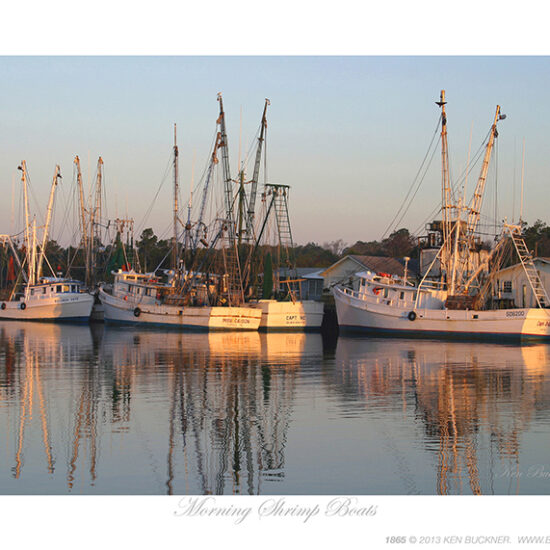 Morning Shrimp Boats- Photo by Ken Buckner (1865)