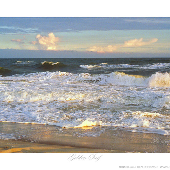 Golden Surf- Photo by Ken Buckner (0595)