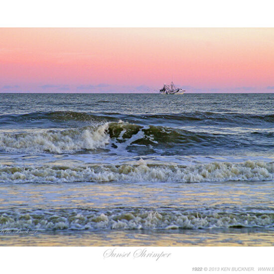 Sunset Shrimper- Photo by Ken Buckner (1922)
