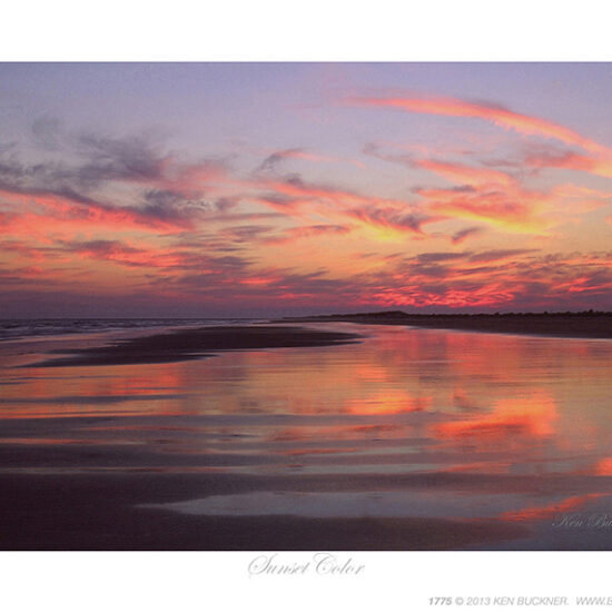 Sunset Color- Photo by Ken Buckner (1775)