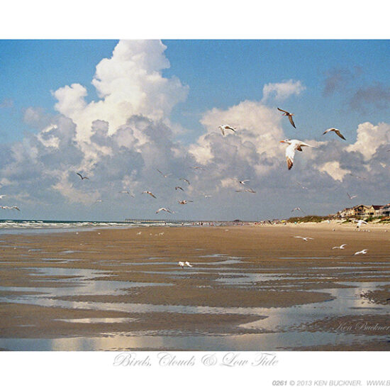 Birds, Clouds, & Low Tide- Photo by Ken Buckner (0261)